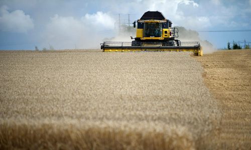 Sverige riskerar EU-böter på kvarts miljard