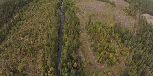 Så gör hänsynsytorna maximal nytta