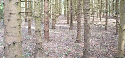 Glöm odling i rader och rutnät