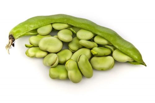 Baljväxter som bondbönor är mer mättande än kött menar forskare.