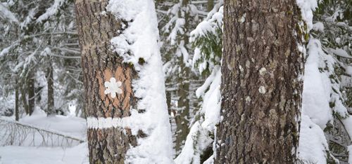 Biotopskyddsområden mindre populära