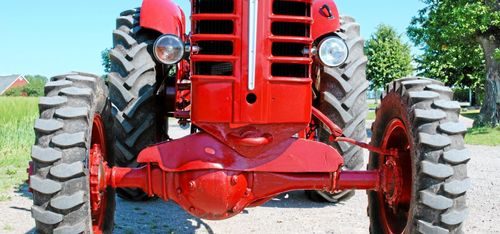 Unik Boxer drar på alla fyra