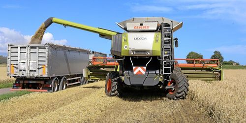 Rådgivare: Ingen toppskörd att vänta i år