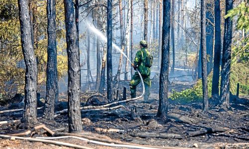 Flera skogsbränder kan vara anlagda