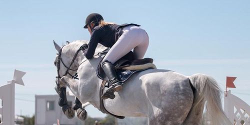 Lagkrav kan stoppa hästutbildning