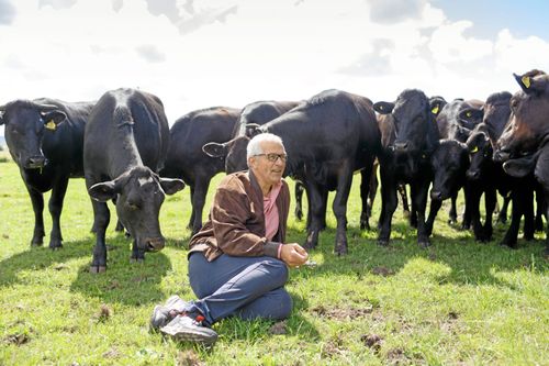 Varför ska inte kunden kunna välja mjölk från frigående kor när man kan välja om man vill köpa burägg eller ägg från fri- eller utegående höns. I sådana termer funderar Wapnös Lennart E. Bengtsson