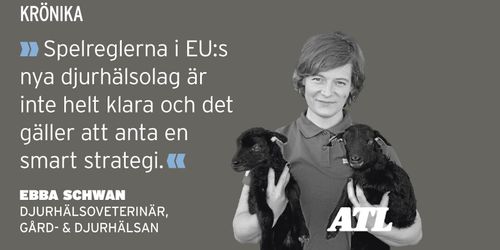 Lägg korten på bordet, Sverige!