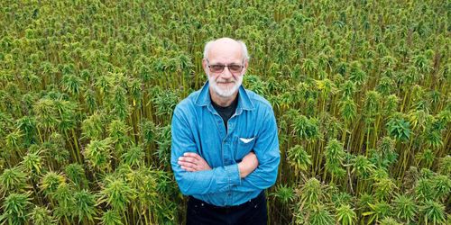 Förlorar flera hundra tusen på oklarheter om hampa