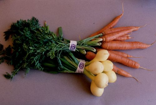 Livsmedelförsäljning lyfts av prisökningar