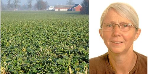 Lantbruket behöver mer än bara ord