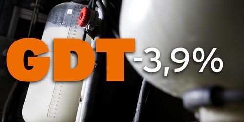 Priset för mjölkpulver rasar