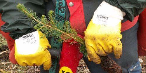 Kräv att friställda och ungdomar tar gröna jobb