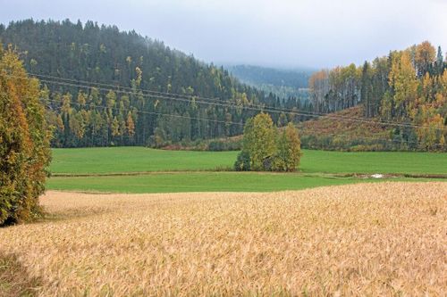 "Läget är helt katastrofalt"