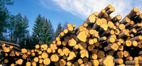 Norrhälsinge höjer igen