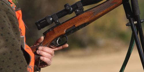 Jägare sköt grävling - visade sig vara en björn