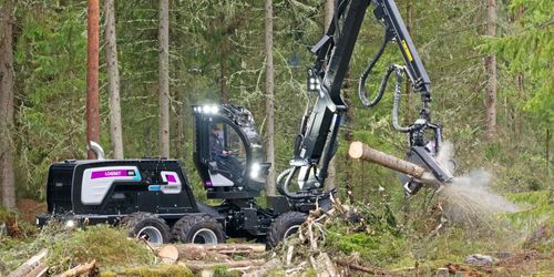 Arbete för ökad tillväxt i skogen försenas