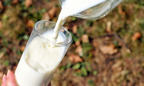 Nederländsk mjölkjätte sänker priset