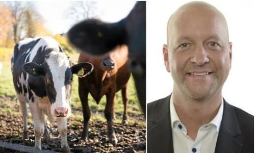 Femte året i rad för ”Mjölkens dag” i riksdagen