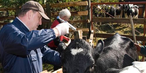 Kartläggning av läget i djurhälsovården är igång