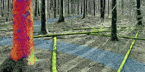 416 miljoner till mer hållbart skogsbruk