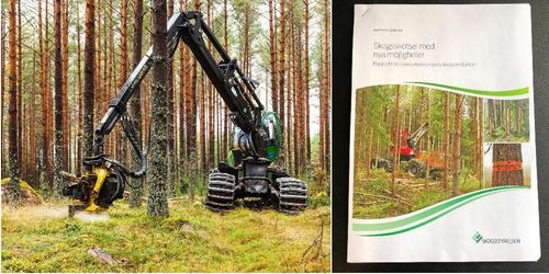 Naturskyddsföreningen: ”En partsinlaga från skogsbruket”