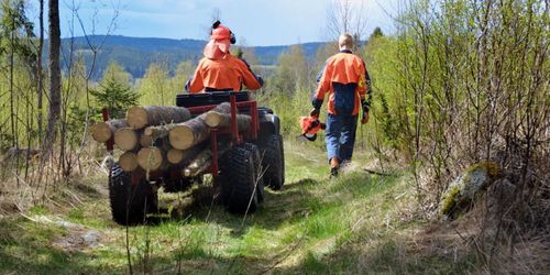 Lagen utreds men inget om utbildning i direktiven