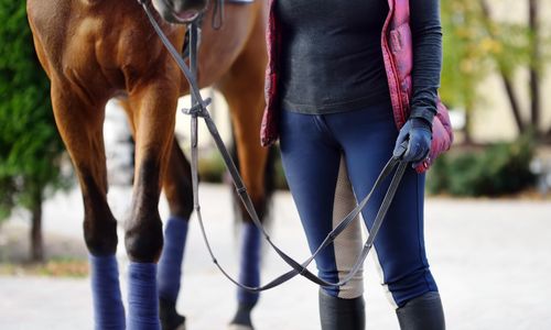 Hårt men attraktivt att jobba med hästar