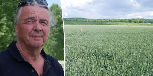 Förlorar 30-årigt arrende för ny logistikpark