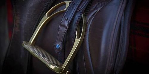 Tjuvar länsar sadelkammare