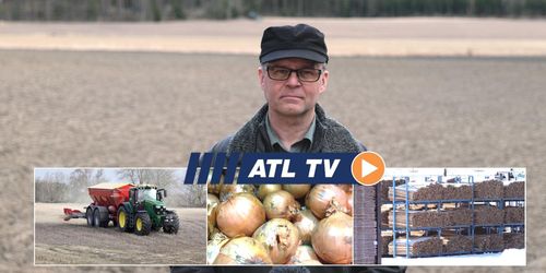 ATL TV: Sågverket som scannar alla stockar