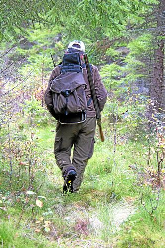 Ge skogsägarna frihet under ansvar att sköta jakten