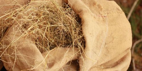 Maskinringen startar import från Frankrike