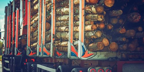 Sveaskogs satsning satte stopp för tjuvkörningar