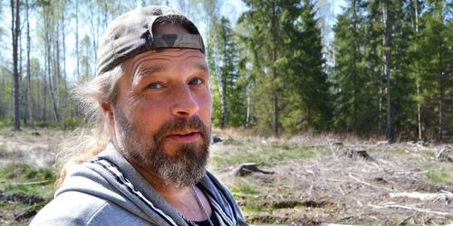 Fick rätt mot bolaget efter felavverkning av 400 träd