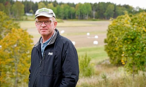 Stora inkomstbortfall efter vildsvinsangrepp
