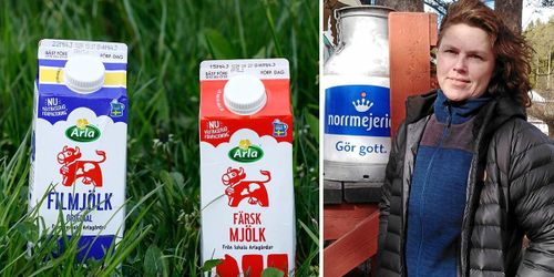 Konkurrenter kritiska mot Arlas prisstrategi