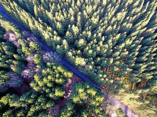 Regeringens passivitet hotar äganderätten