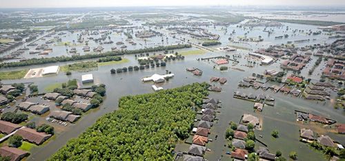 Fulbilar kan komma till Europa