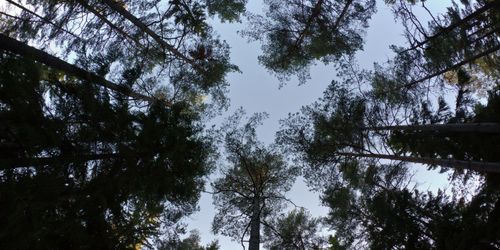 Debatt: Vem ska äga skogsdata?