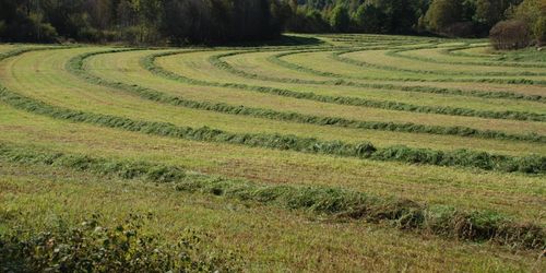 Skördedispens med frågetecken