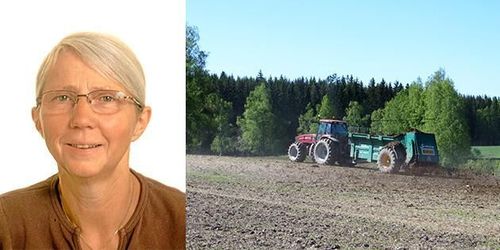 Jämför inte fräscha äpplen med ruttna päron