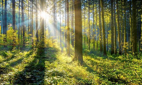 ”Allemansrätten är i fara”