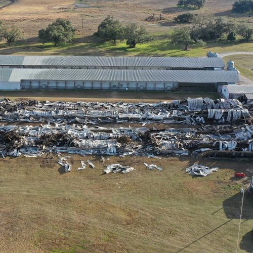 Kvarts miljon höns innebrända