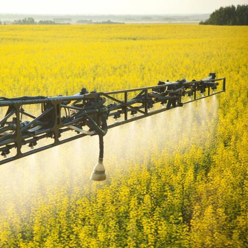 Hårdare tryck för striktare växtskyddsregler i EU