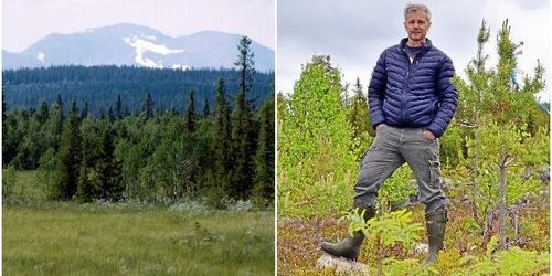 Klart: Skogsägare ersätts för att spara fjällnära skog