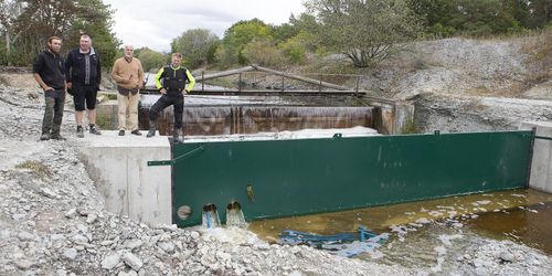 Nya dammluckor säkrar vatten till fälten