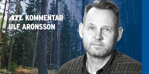 Klimatet största hotet mot skogen