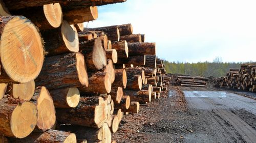 Timret upp i Mellansverige