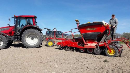 Brist på utsäde efter blöt vår