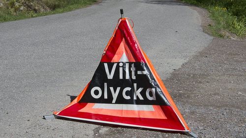 Riksdagen vill skärpa straffen för angrepp på jägare